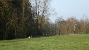 P1010534