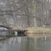 P1010541