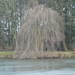 P1010543