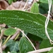 P1040985