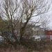 P1050004