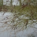 P1050005