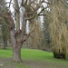 P1050008