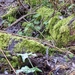 P1050098