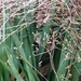 P1050108