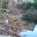 P1050116
