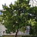 P1050186