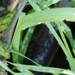 P1050191