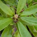 P1050194