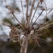 P1050198