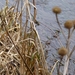P1050203