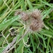 P1050206