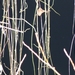 P1050299