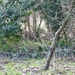 P1050342