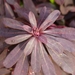 P1050345