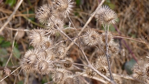 P1050347