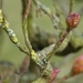 P1050355