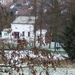P1050368
