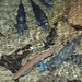 P1050428