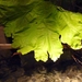 P1050434
