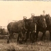 Foto van ongeveer in het jaar 1946 nestor