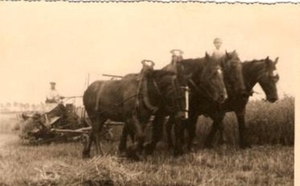 Foto van ongeveer in het jaar 1946 nestor