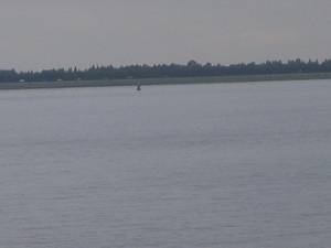 DSCN0323