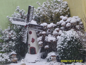 winter