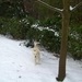 BILD1481