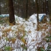 BILD1485