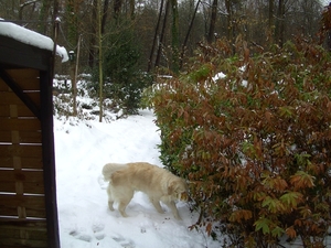 BILD1486