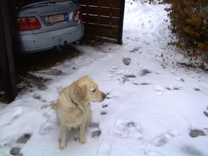 BILD1487
