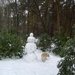 BILD1488