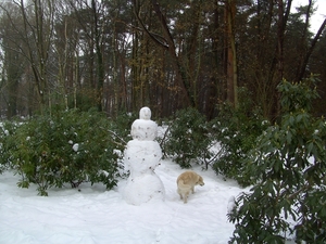BILD1488