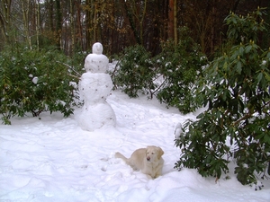 BILD1490