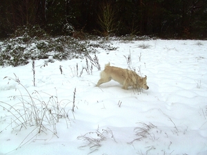 BILD1493