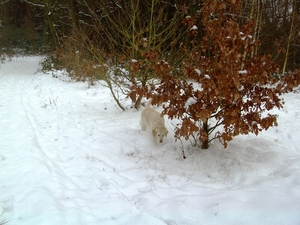 BILD1498