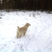 BILD1500