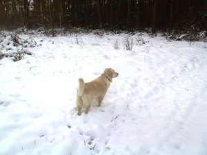 BILD1500