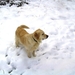 BILD1501