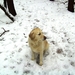 BILD1503