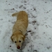 BILD1508
