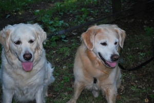 tess en tessa3