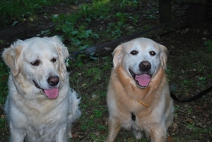 tess en tessa5