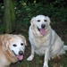 tess en tessa 7