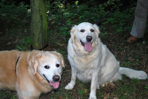 tess en tessa 7