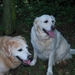 tess en tesssa4