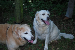 tess en tesssa4