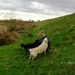 tessa en buck 5