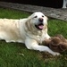 tessa met knuffel
